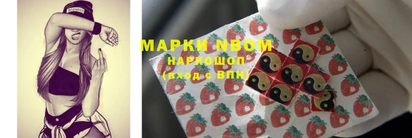 дмт Белокуриха