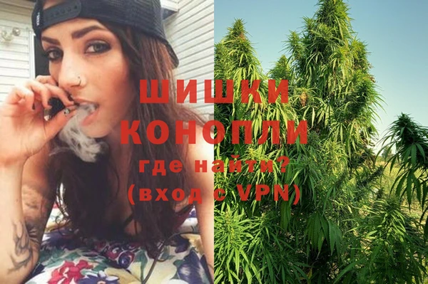 крисы Белоозёрский