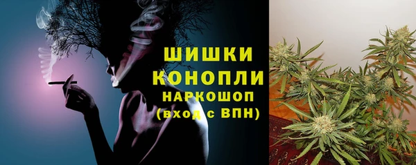 дмт Белокуриха