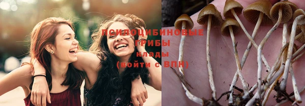 крисы Белоозёрский