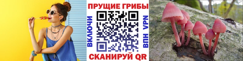 кракен маркетплейс  Емва  Галлюциногенные грибы ЛСД 